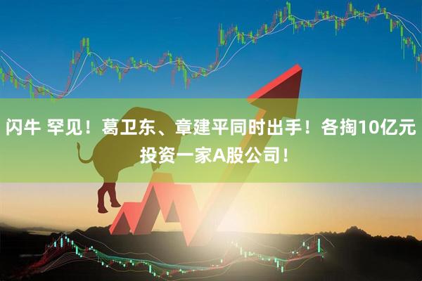 闪牛 罕见！葛卫东、章建平同时出手！各掏10亿元 投资一家A股公司！