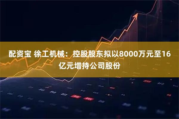 配资宝 徐工机械：控股股东拟以8000万元至16亿元增持公司股份